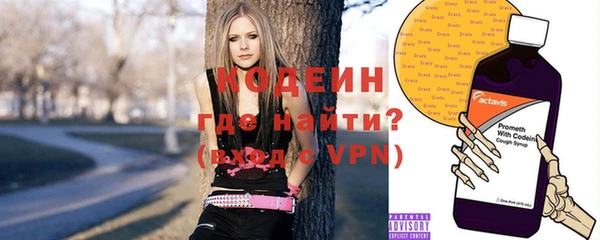 прущие грибы Армянск