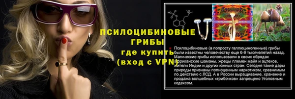 круглые Аркадак