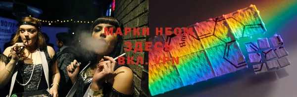 прущие грибы Армянск