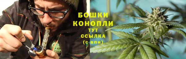прущие грибы Армянск