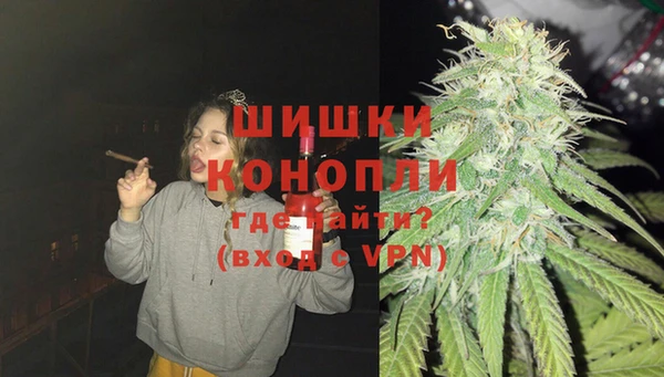 прущие грибы Армянск