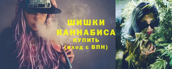 прущие грибы Армянск