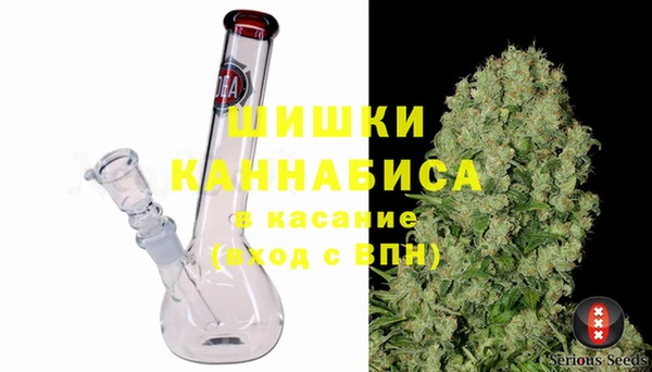 прущие грибы Армянск
