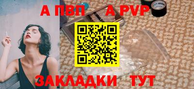 стаф Кунгур