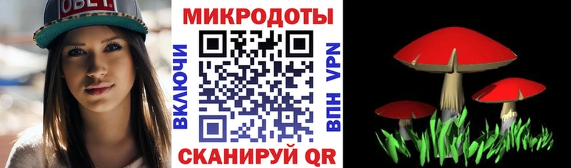 KRAKEN ССЫЛКА  Вологда  Псилоцибиновые грибы мицелий  где можно купить наркотик 