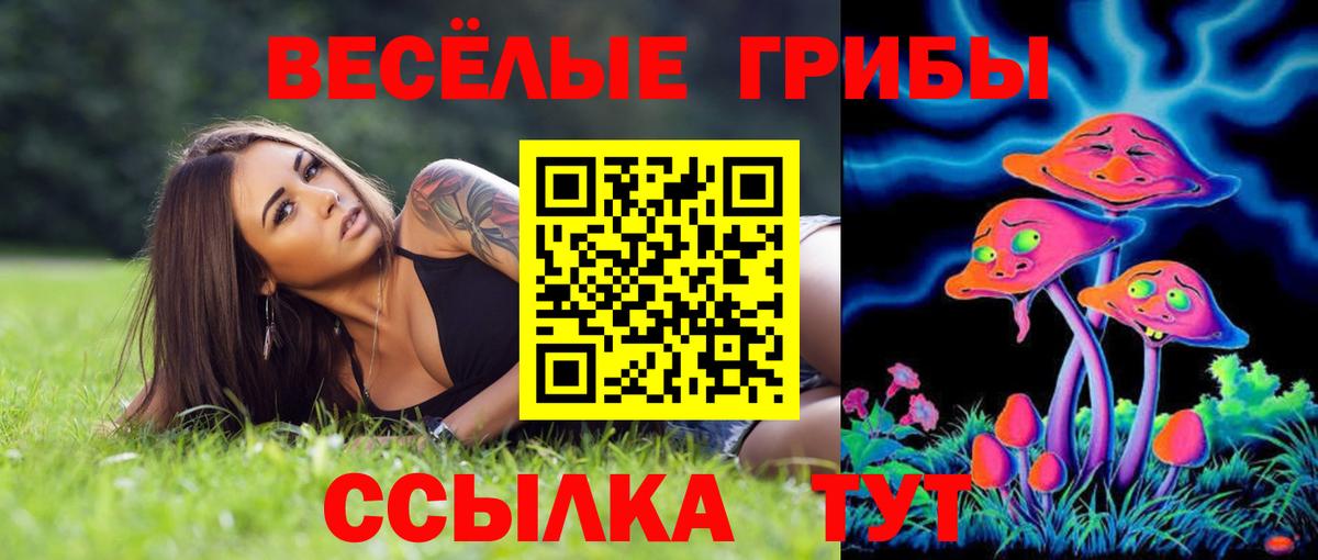 Вологда  Псилоцибиновые грибы ЛСД  Вход с VPN 
