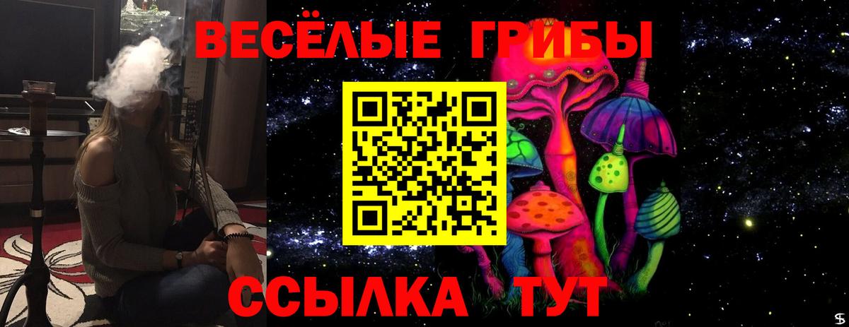 Галлюциногенные грибы Psilocybine cubensis Вологда