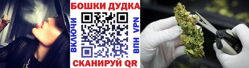 Конопля Amnesia  Вологда 